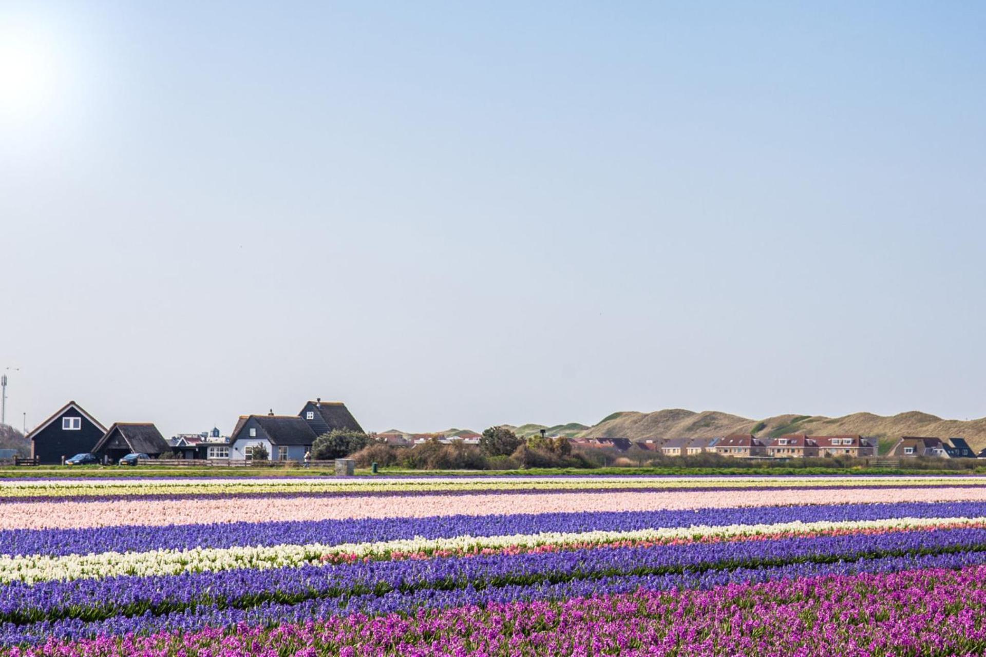 Beach Appartement 27 - Aan De Duinen, Callantsoog Aan Zee Εξωτερικό φωτογραφία